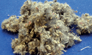 Uruchomienie nowej linii do ciągłej aglomeracji tworzyw sztucznych firmy PALLMANN